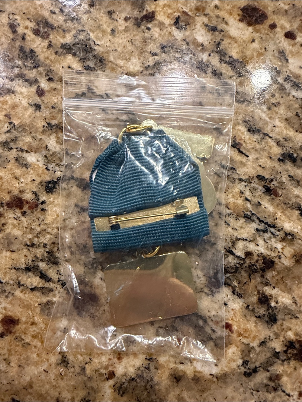 2026 Lick Ice Cream Dog Fiesta Medal - Picture 2 of 2